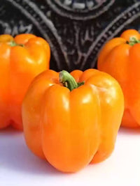 Gourmet – Bell Pepper Seed