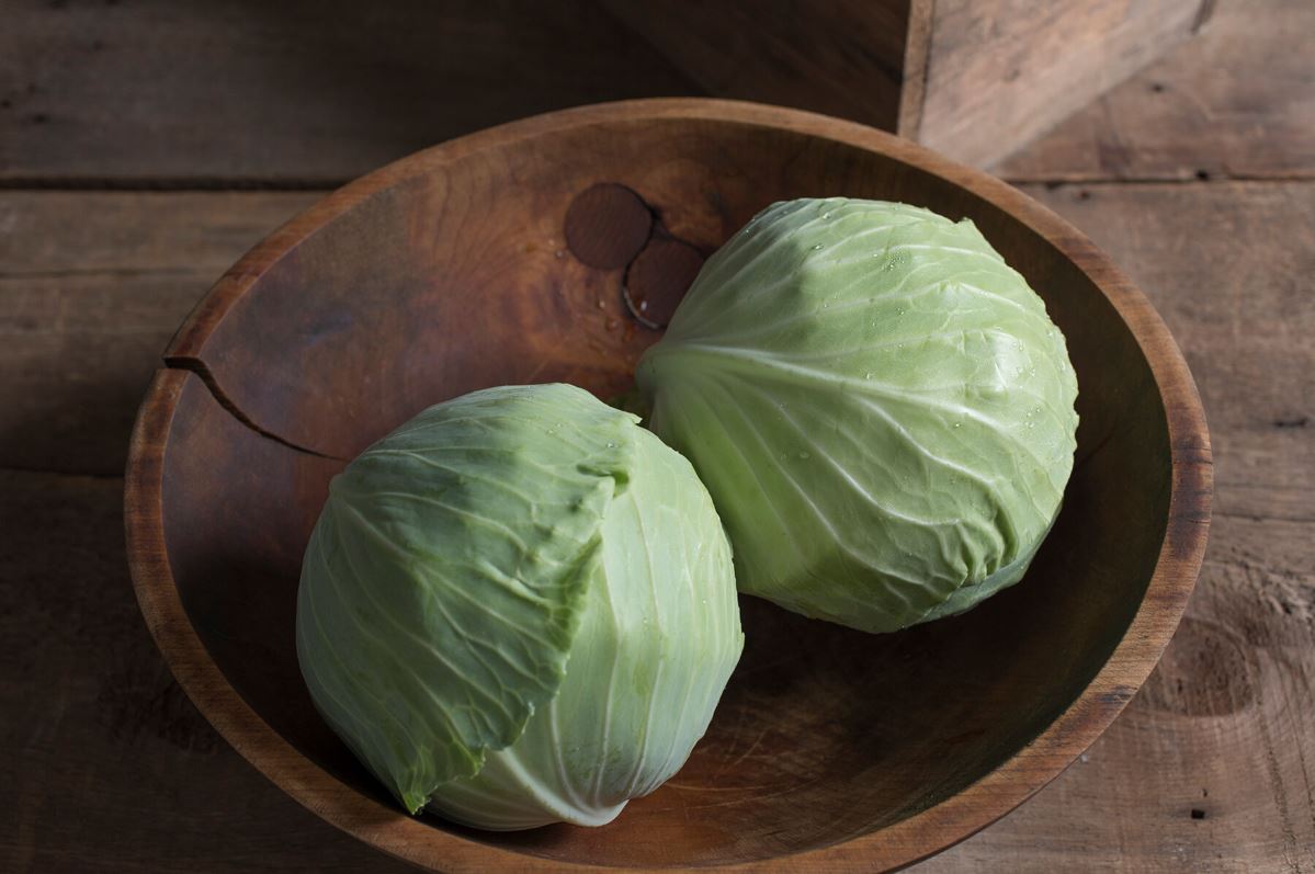 Haku – Chinese Cabbage Seed