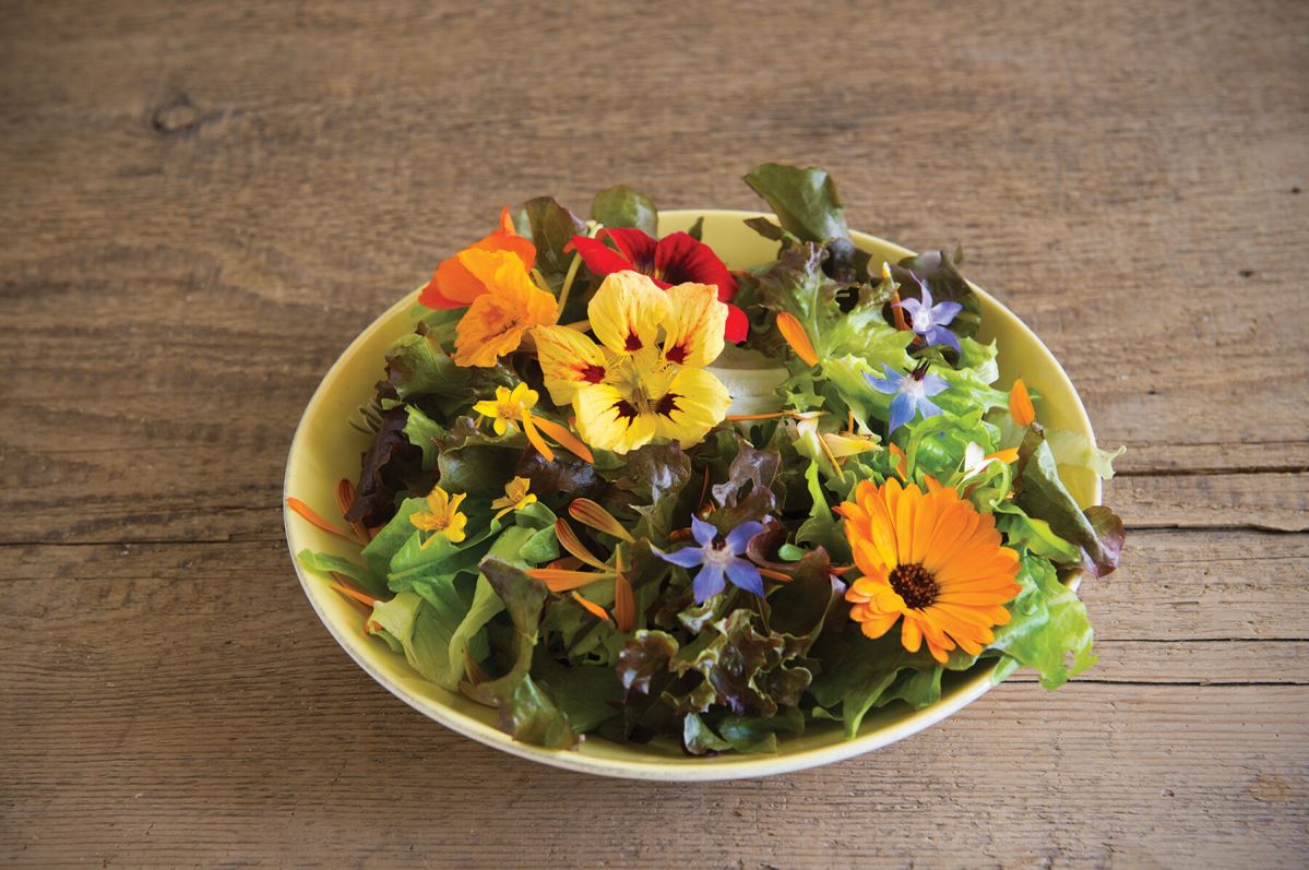 Edible Flower Collection – Flower Seed