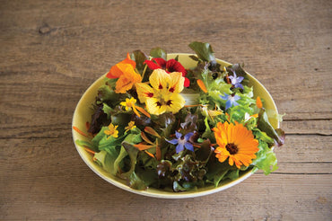 Edible Flower Collection – Flower Seed