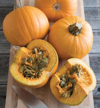 Naked Bear – Pumpkin Seed