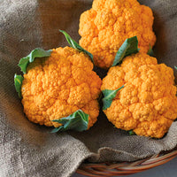 Clementine – Orange Cauliflower Seeds