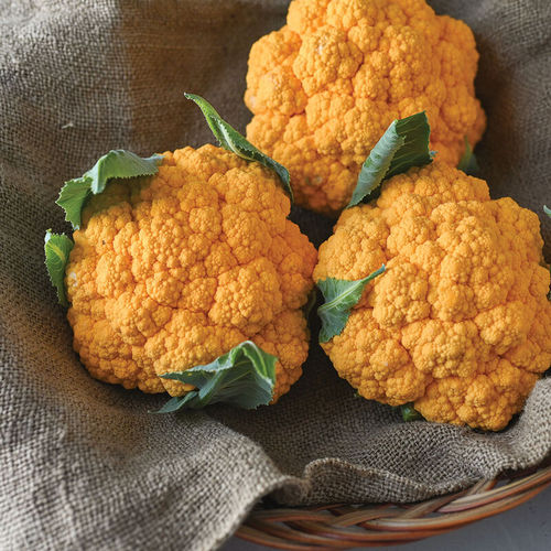 Cheddar – Orange Cauliflower Seeds