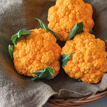 Cheddar – Orange Cauliflower Seeds