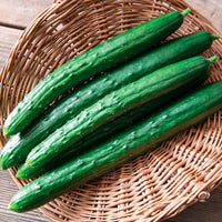 Sashimi – Cucumber Seed