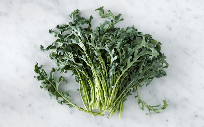 Spigariello Riccia – Broccoli Seed