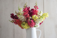 Madame Butterfly Mix – Snapdragon Seed