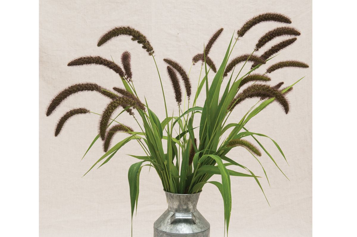Lowlander – Ornamental Grass Seed