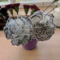 Gray (Gray scientific name) for planting in garden