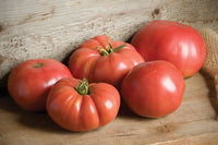 German Johnson – Organic Tomato Seed