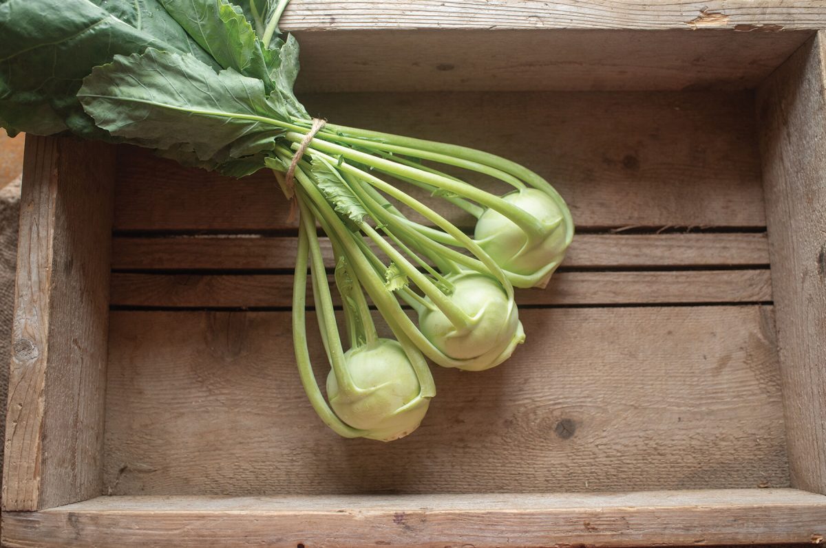 Konan – Organic Kohlrabi Seed