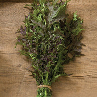 Red Splendor – Mustard Green Seed