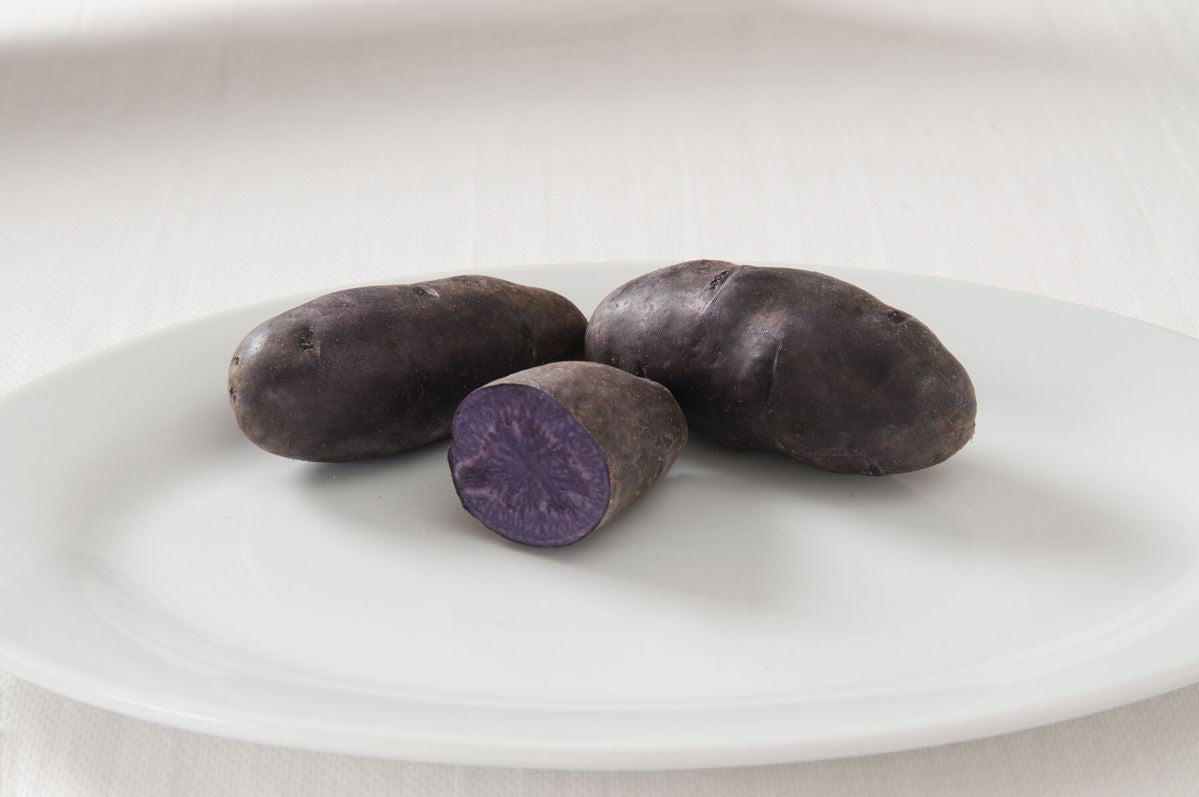 Magic Molly – Purple Potatoes Seed