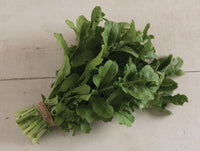 Esmee – Organic Arugula Seed