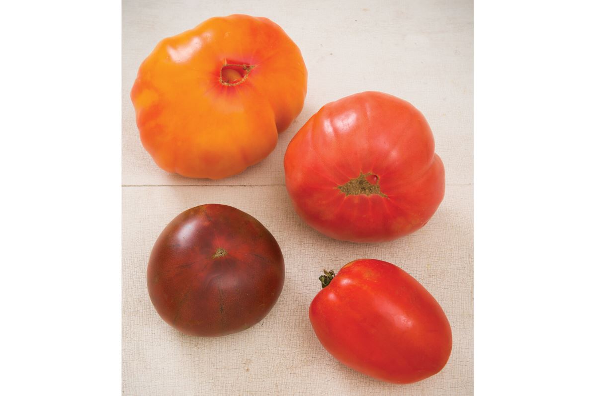 Heirloom Tomato Collection – Organic Seed