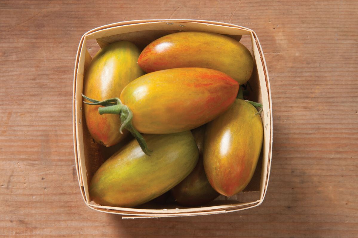 Lucky Tiger – Organic Tomato Seed