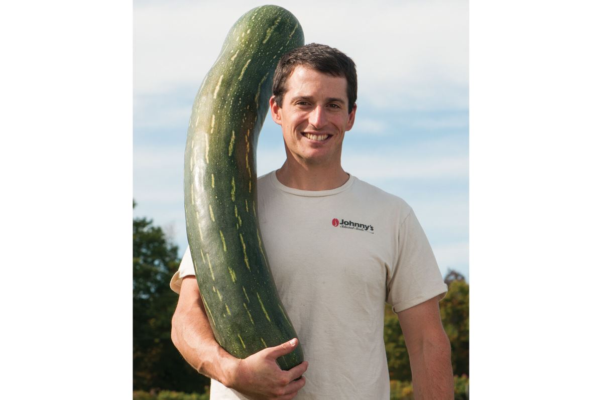 Naples Long – Pumpkin Seed