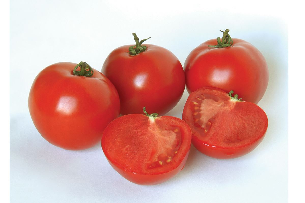 Polbig – Tomato Seed