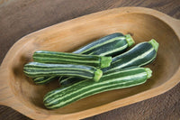 Safari – Zucchini Squash Seed