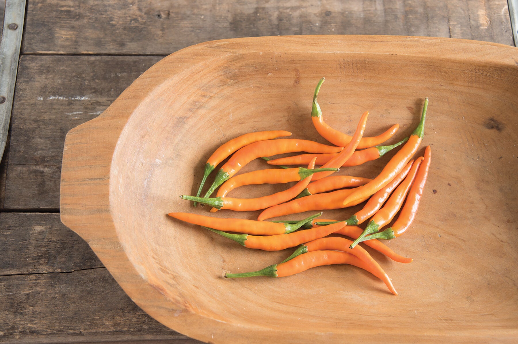 Kilian – Thai Pepper Seed