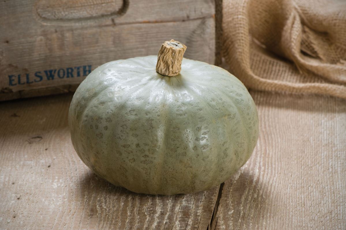 Winter Sweet – Organic Kabocha Squash Seed
