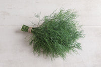 Hera – Organic Dill Seed
