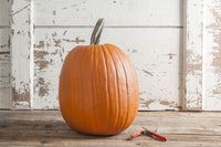 Champion – Treated Pumpkin Seed