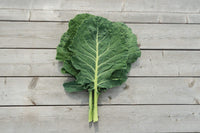 Cash Crop – Georgia Collard Seeds