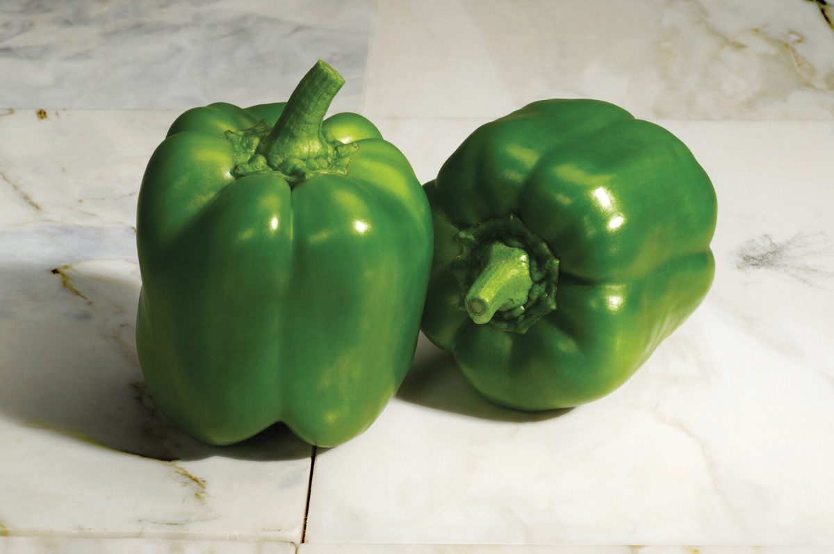 Classic – Bell Pepper Seed