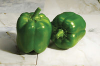 Classic – Bell Pepper Seed