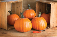 Gumdrop PMR – Pumpkin Seed