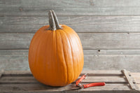 Howden – Organic Pumpkin Seed