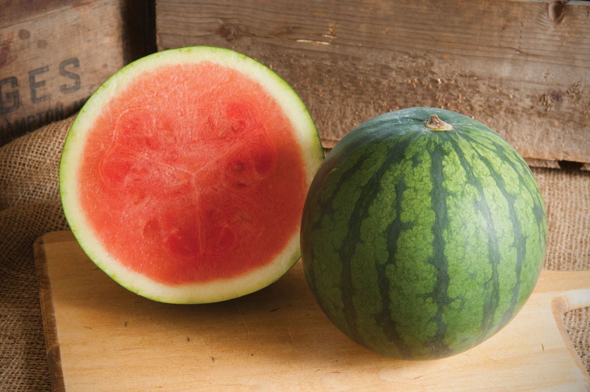 Sorbet – Watermelon Seed