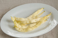 Marvel of Venice – Bean Seed