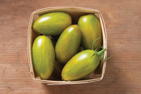 Green Tiger – Organic Tomato Seed