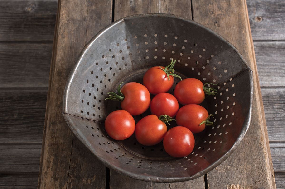 Glacier – Organic Tomato Seed