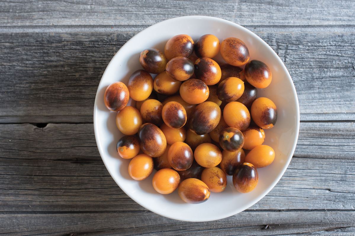 Indigo Kumquat – Tomato Seed
