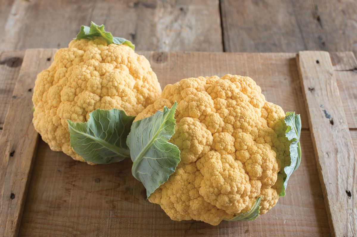 Flame Star – Orange Cauliflower Seeds