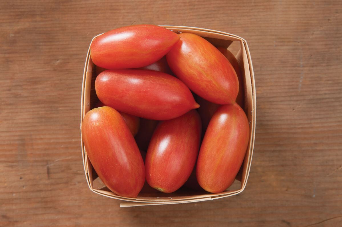 Pink Tiger – Organic Tomato Seed