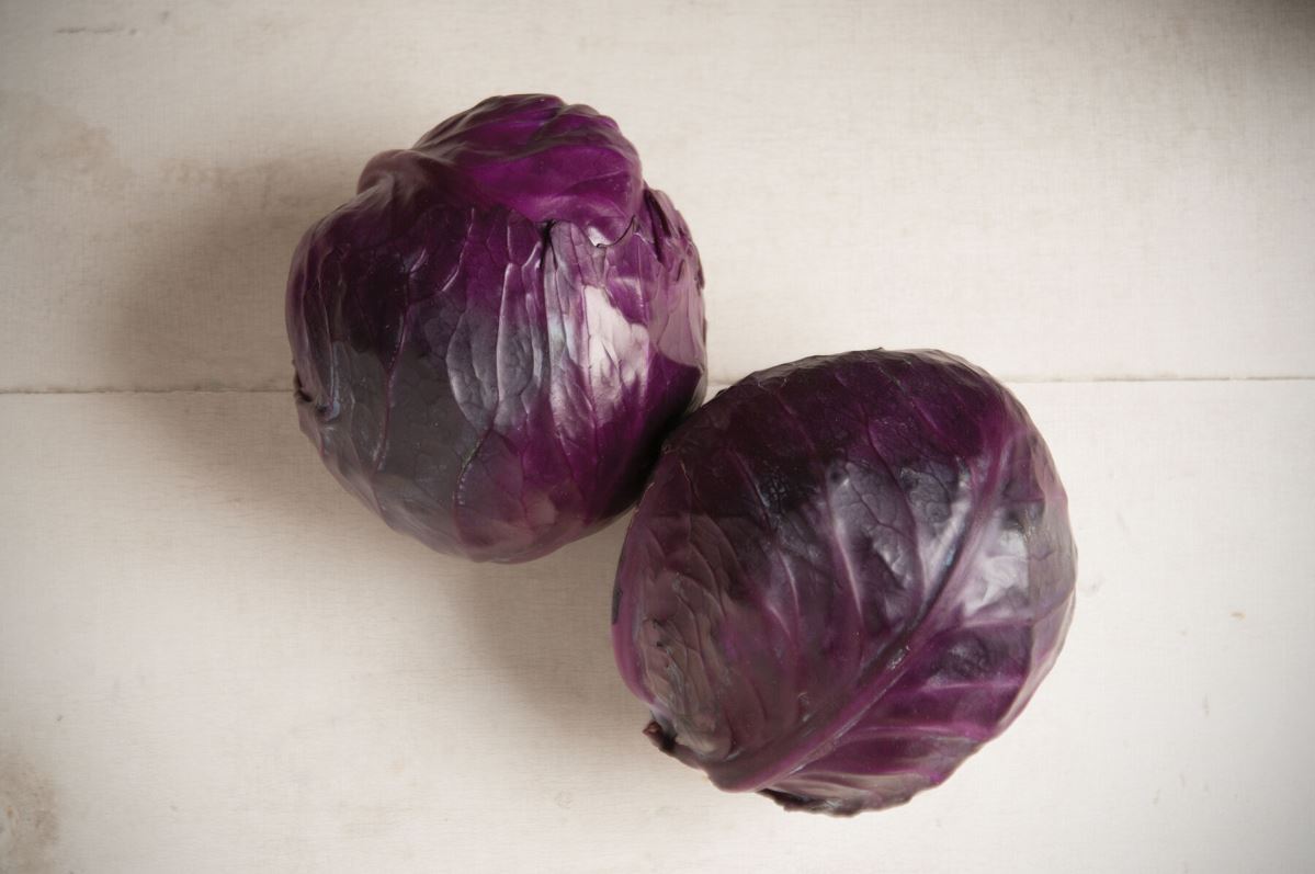 Integro – Organic Cabbage Seed