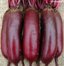 Formanova – Organic Beet Seed