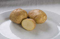Kennebec – Organic Seed Potatoes