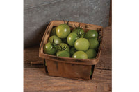 Sungreen 4029 – Tomato Seed