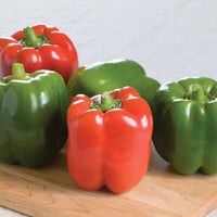 Olympus – Bell Pepper Seed