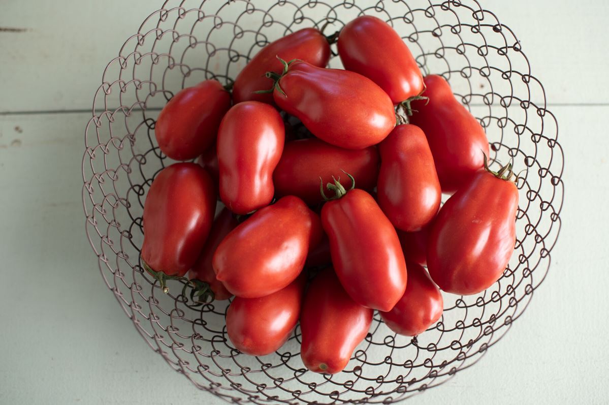 San Marzano II – Organic Tomato Seed