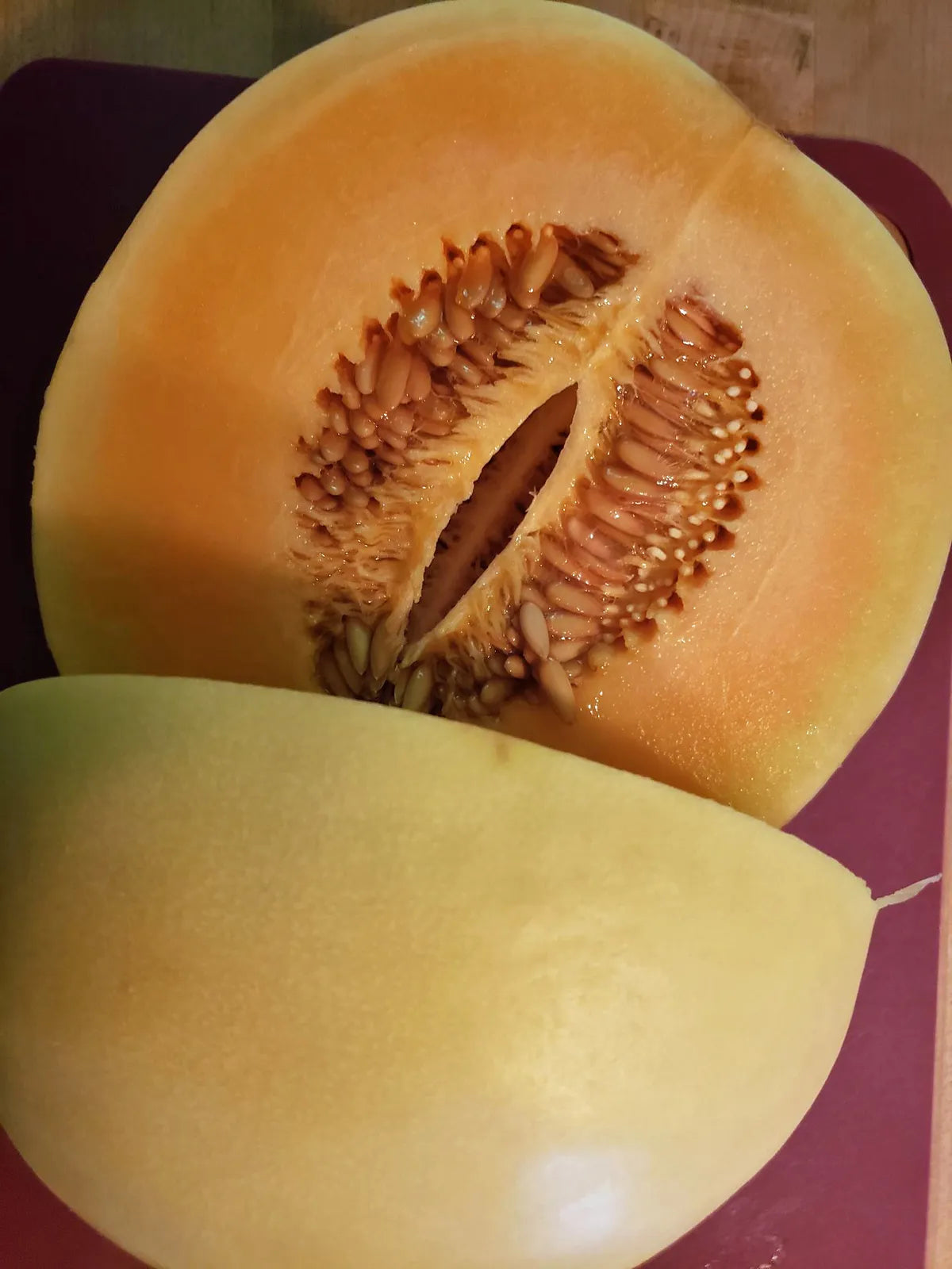 Honey Orange – Melon Seed
