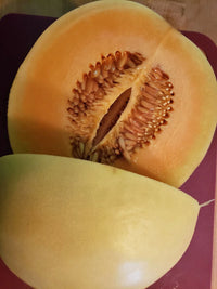 Honey Orange – Melon Seed