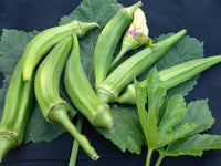 Clemson Spineless – Organic Okra Seed