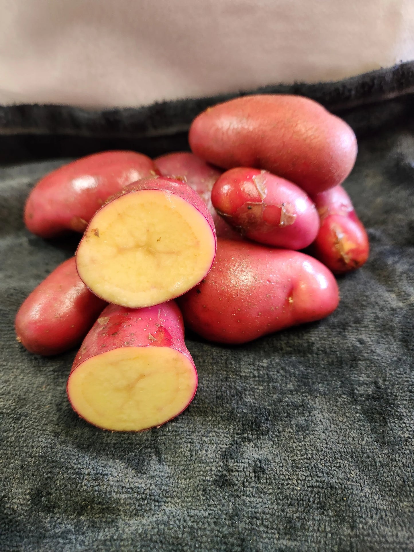 French Fingerling – Organic Seed Potatoes