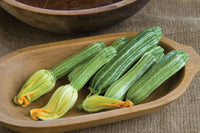 Costata Romanesco – Zucchini Squash Seed